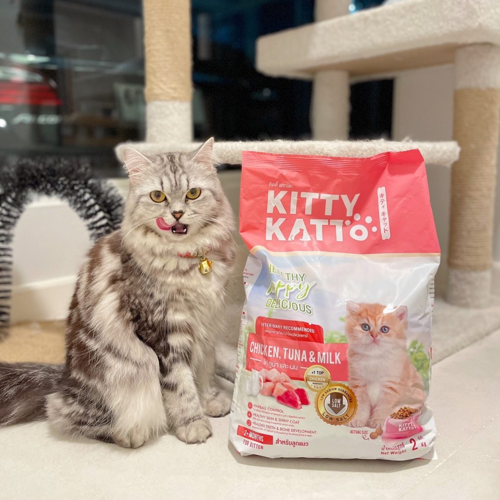 Customer Review - Kitty Katto